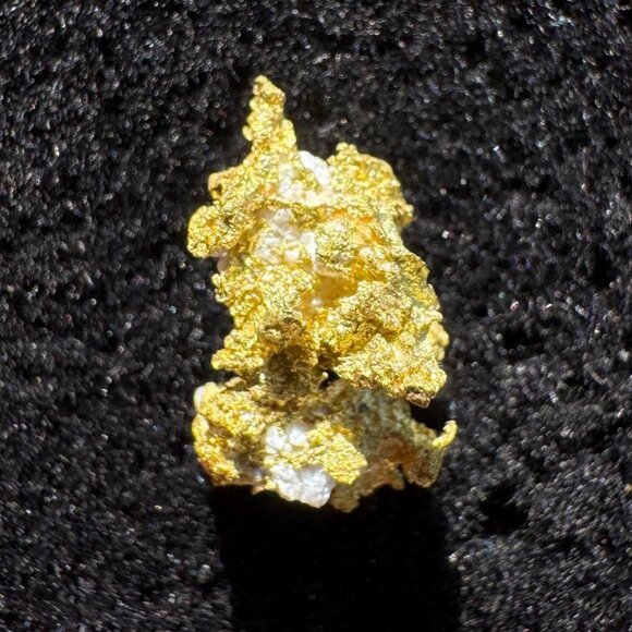 California Native Gold Crystal - 0.64 grams - Picture 2 of 3